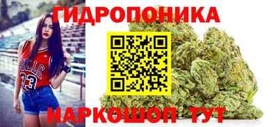 ПСИЛОЦИБИНОВЫЕ ГРИБЫ Свободный